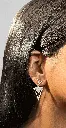 IMG_2360.webp