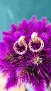 IMG_2813.webp
