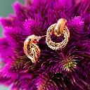Chic earring 4.webp