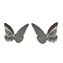 Untitled (3).webp