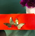 Butterfly Earrings
